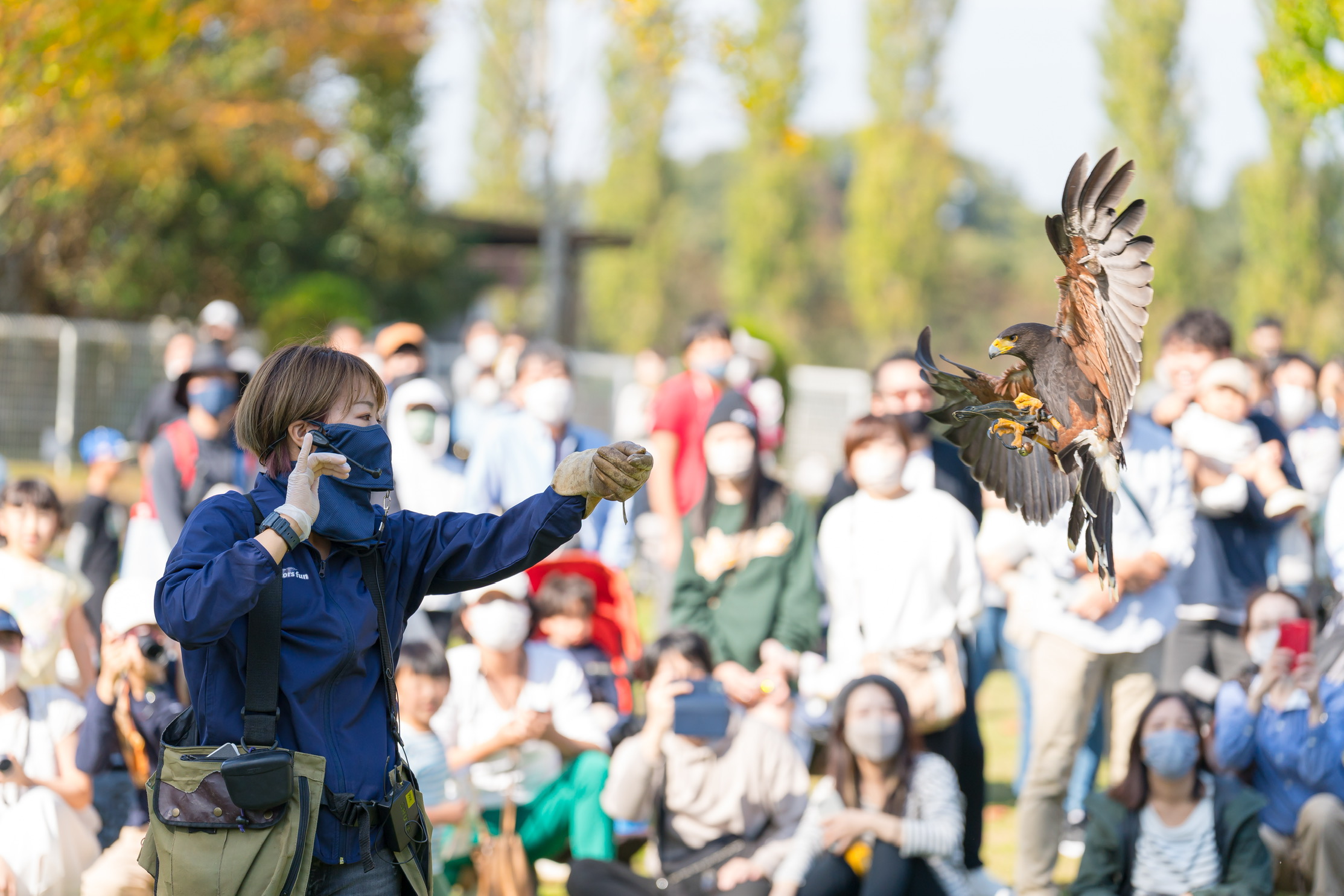 動物ふれあい体験