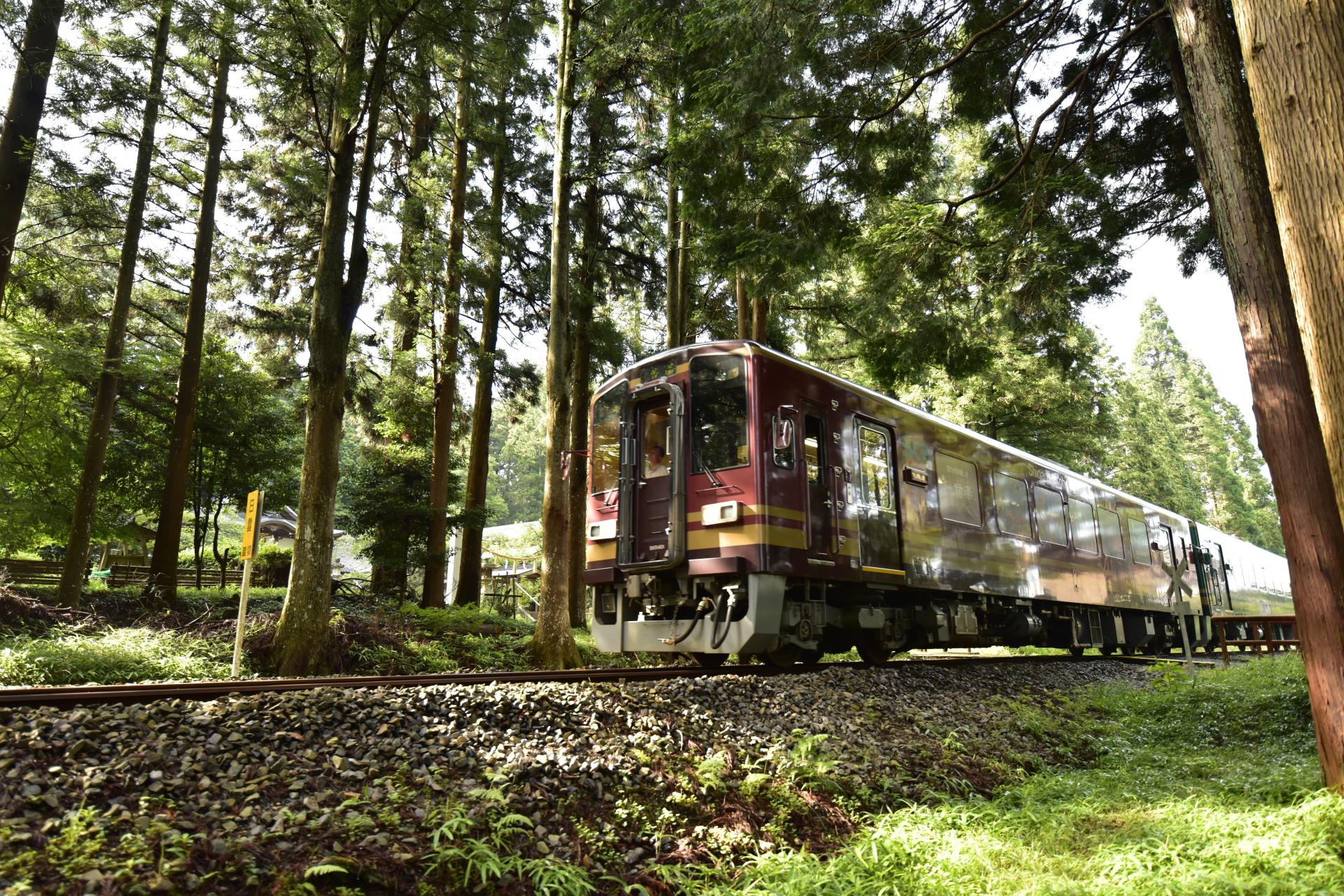 ガタンゴトン！甲賀の鉄道大集合！～信楽高原鐵道・JR草津線・近江鉄道PRブース～